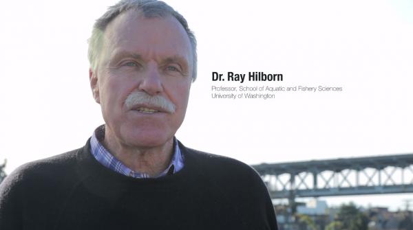 Estudio de Ray Hilborn disputa hallazgos previos sobre peces de forraje